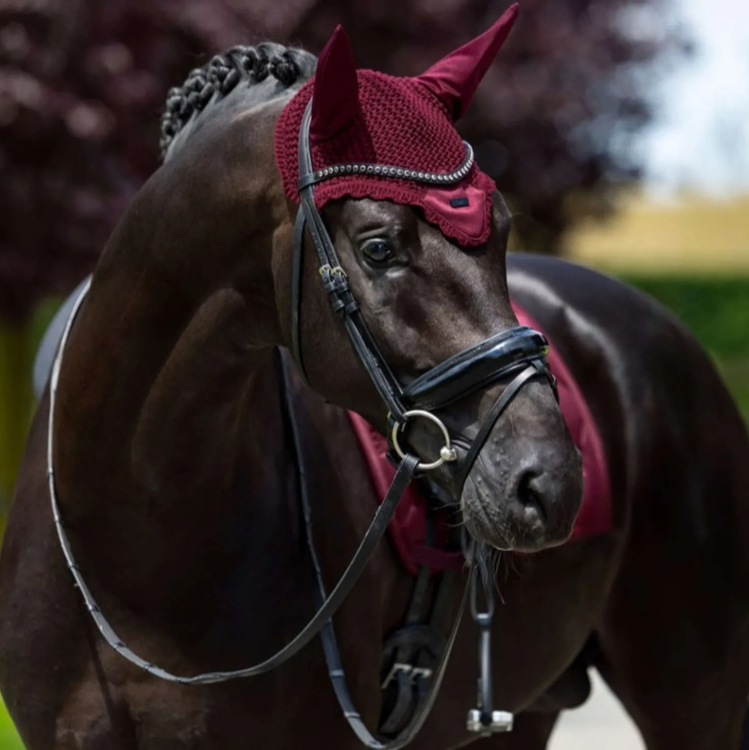 Equestrian Stockholm Oornetje Satin Merlot