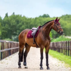 Equestrian Stockholm Oornetje Velvet Merlot