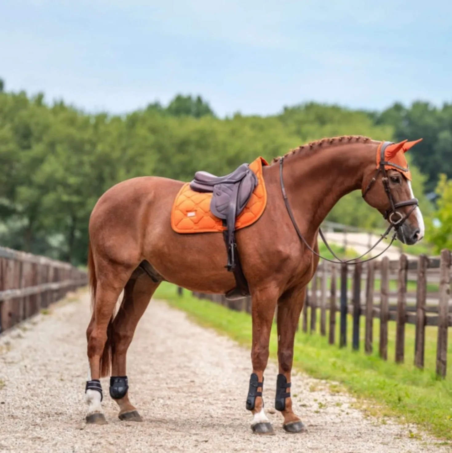 Equestrian Stockholm Oornetje Velvet Chestnut