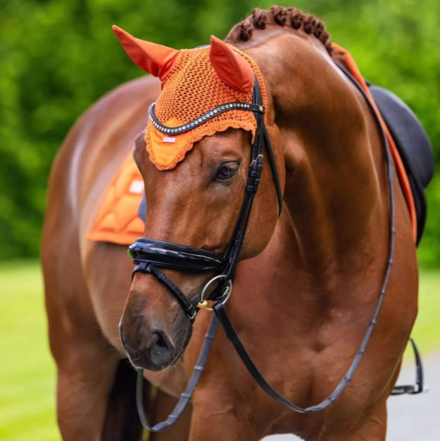 Equestrian Stockholm Oornetje Velvet Chestnut