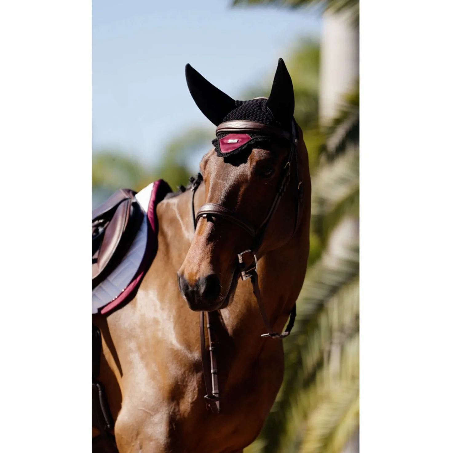 Equestrian Stockholm Oornetje Soundless Merlot