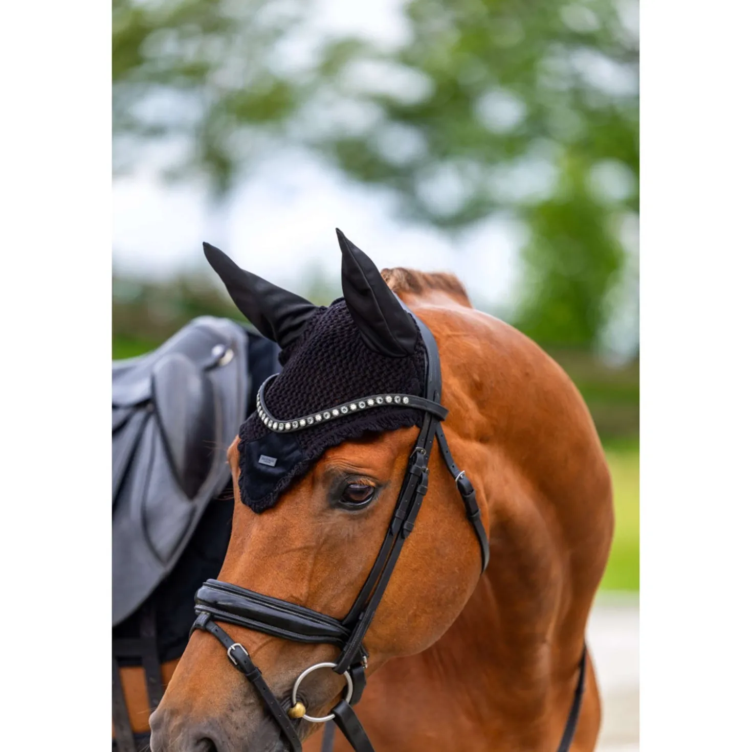 Equestrian Stockholm Oornetje Velvet Zwart