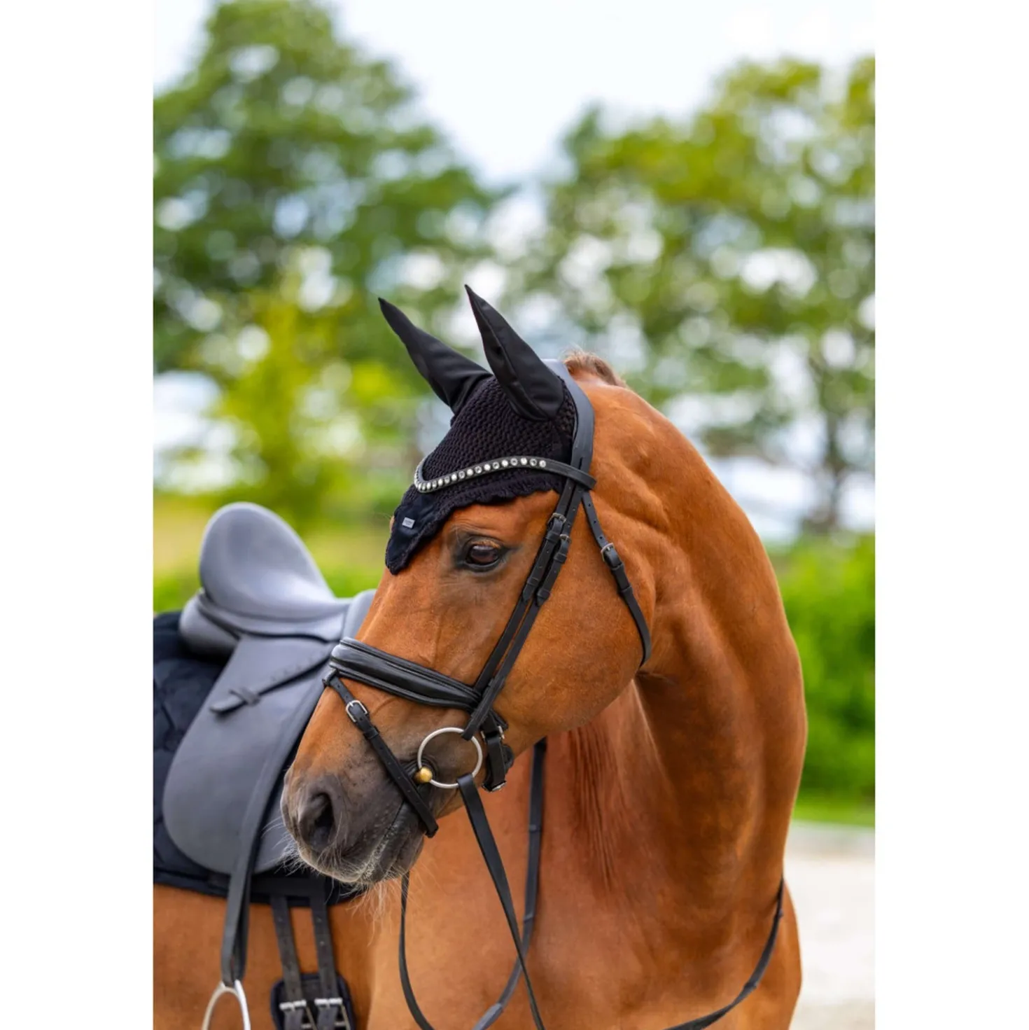 Equestrian Stockholm Oornetje Velvet Zwart