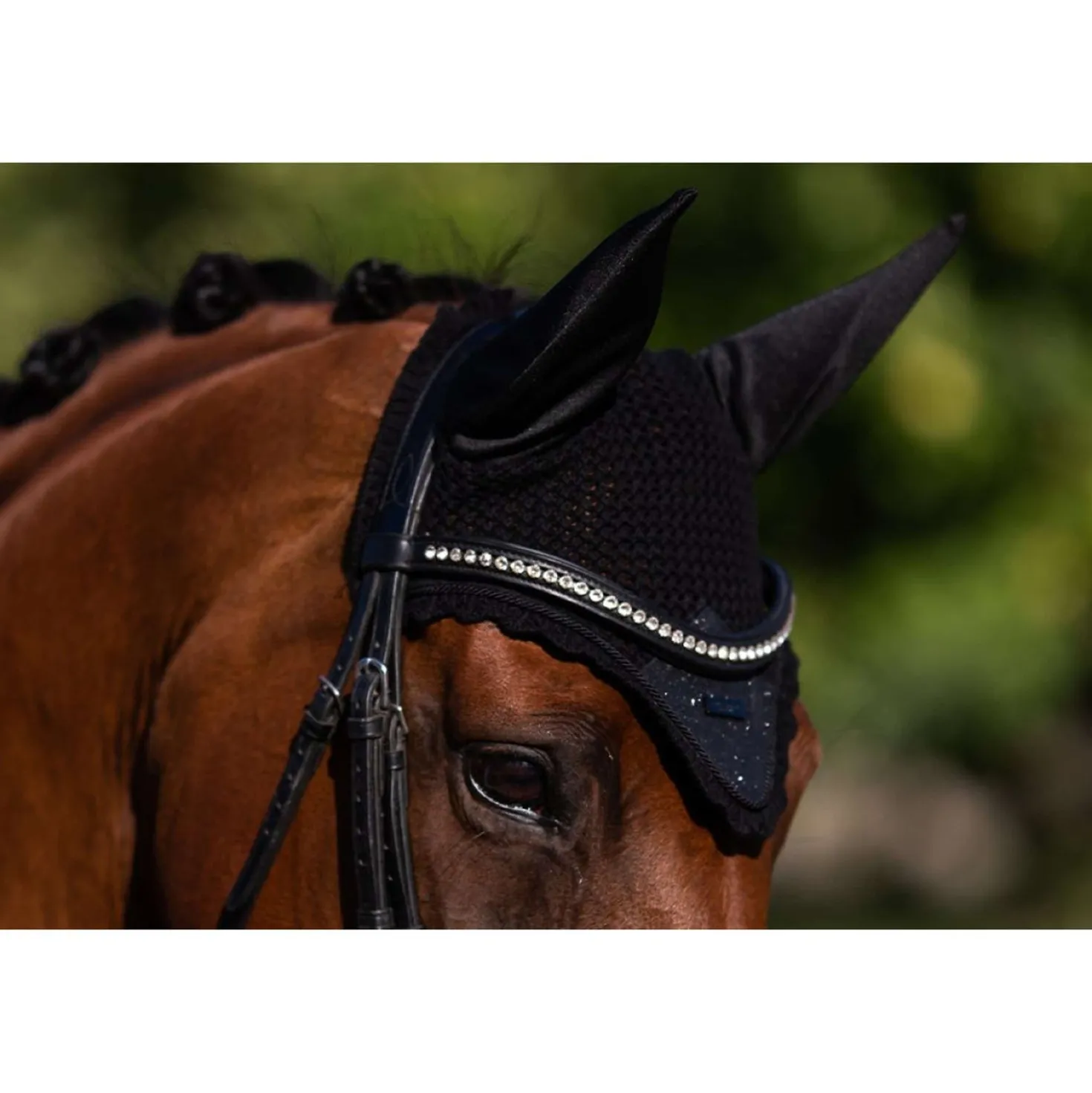 Equestrian Stockholm Oornetje All Black Glimmer