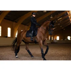 Equestrian Stockholm Oornetje All Black Glimmer