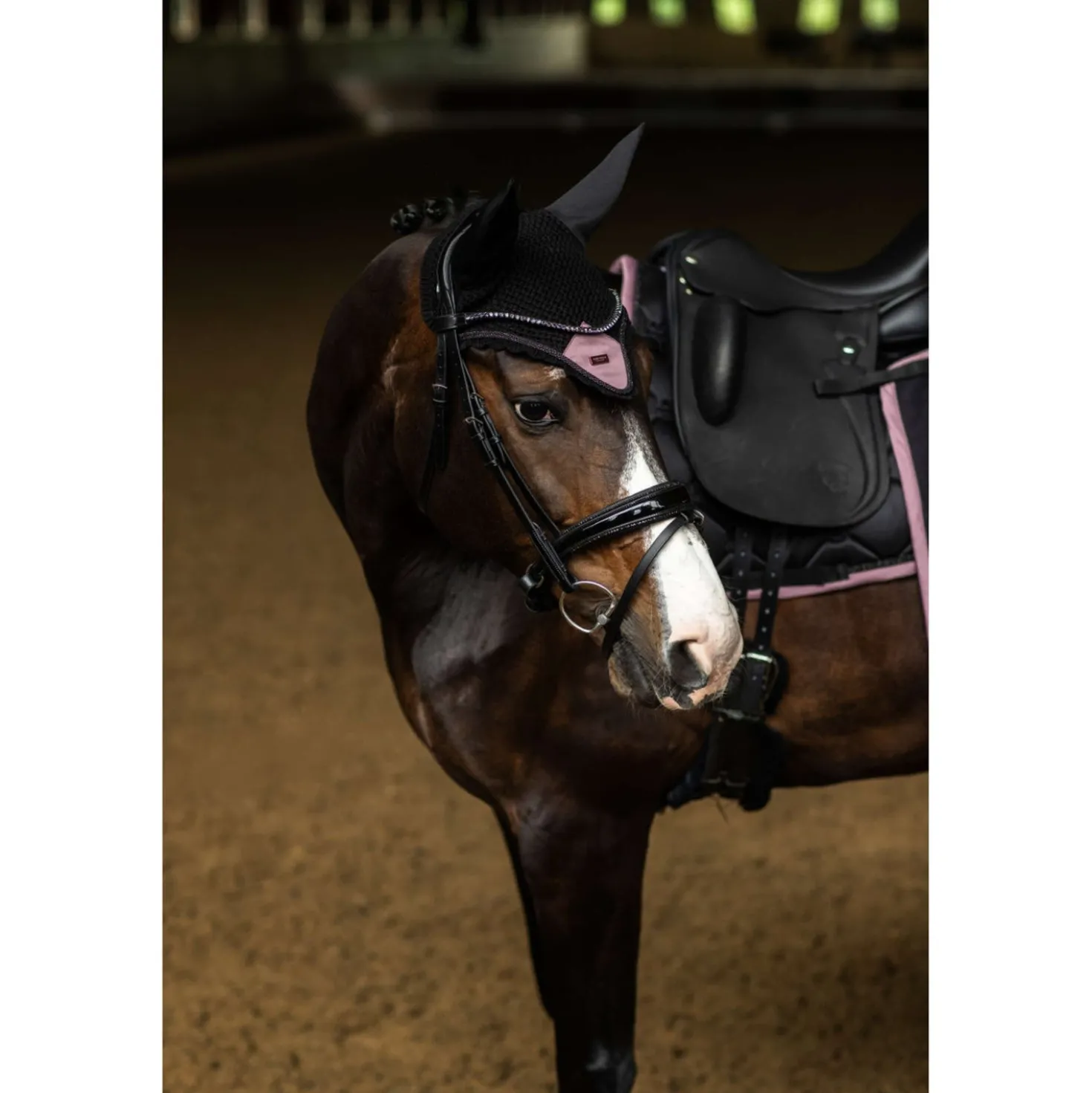 Equestrian Stockholm Oornetje Zwart/Blush
