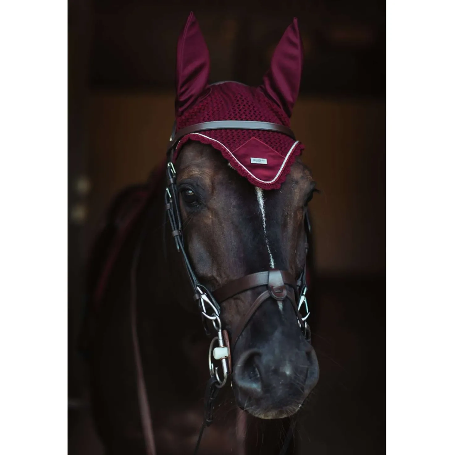 Equestrian Stockholm Oornetje Bordeaux