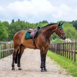 Equestrian Stockholm Oornetje Velvet Sycamore Green