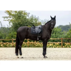 Equestrian Stockholm Oornetje Black Edition