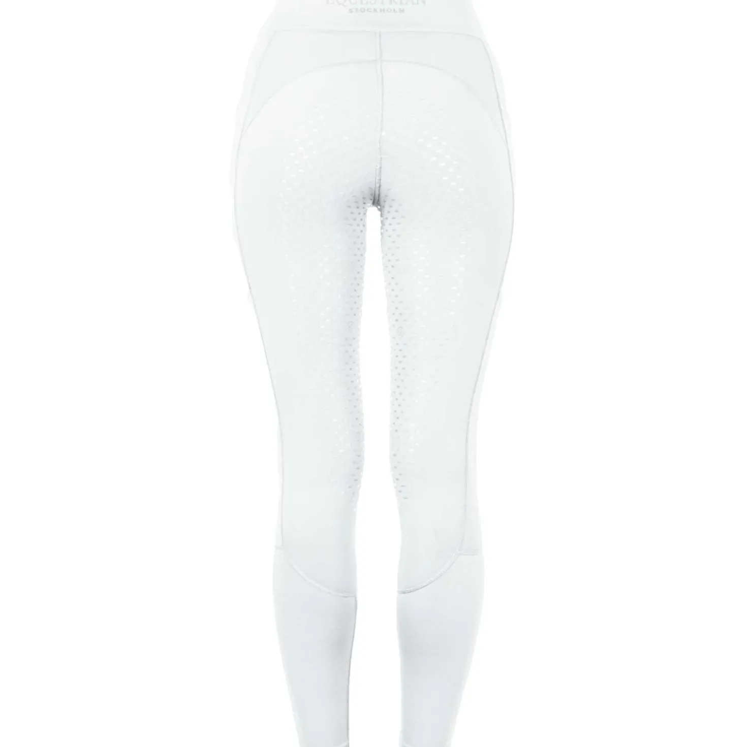 Equestrian Stockholm Rijlegging Movement Dressage Wit