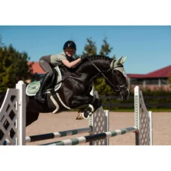 Equestrian Stockholm Shirt Dynamic Short Sleeve Pistachio White