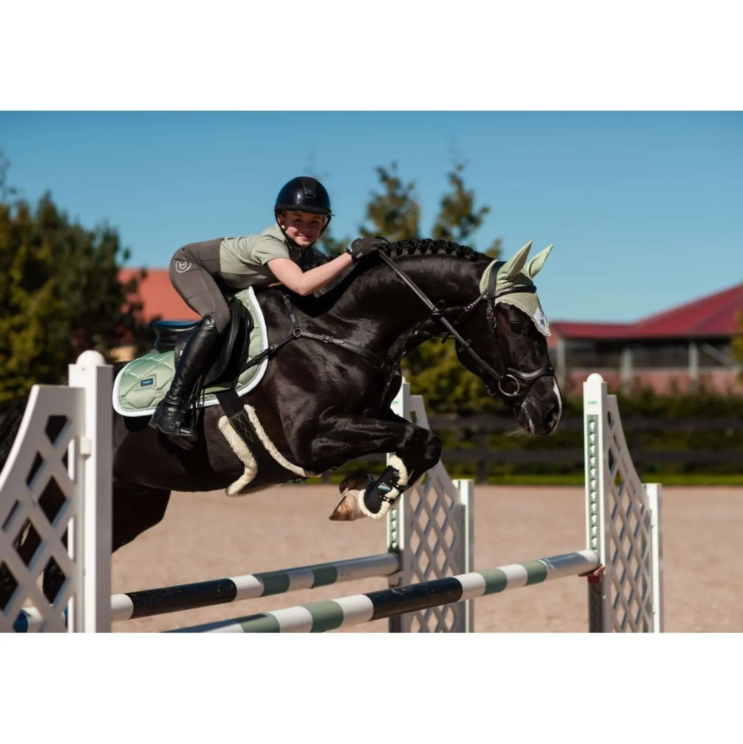 Equestrian Stockholm Shirt Dynamic Short Sleeve Pistachio White