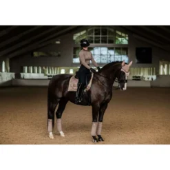 Equestrian Stockholm Shirt UV Protection Champagne
