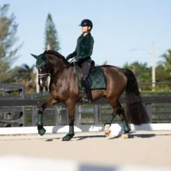 Equestrian Stockholm Springschoenen Sycamore Green