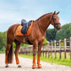 Equestrian Stockholm Springschoenen Chestnut
