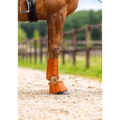 Equestrian Stockholm Springschoenen Chestnut