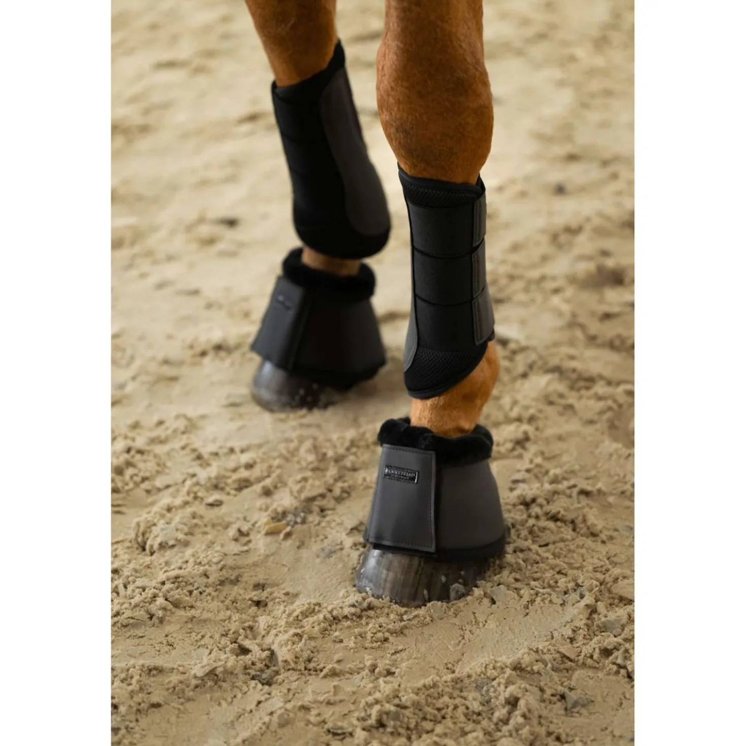 Equestrian Stockholm Springschoenen All Black