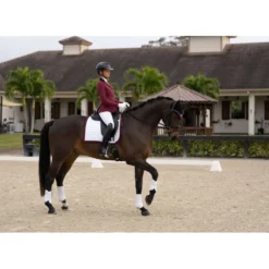 Equestrian Stockholm Wedstrijdjasje Classic Merlot