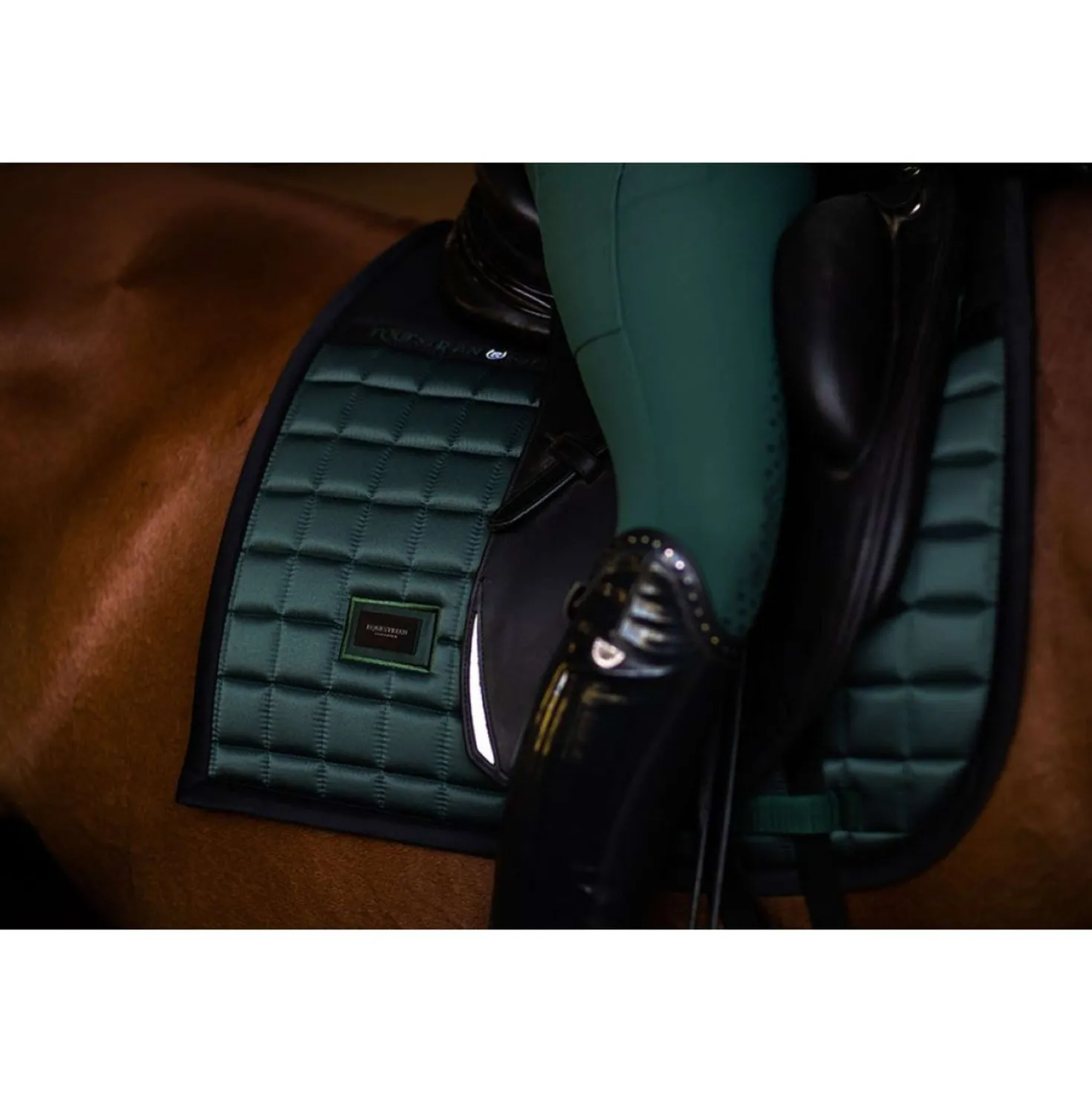Equestrian Stockholm Zadeldekje Sportive Dressuur Sycamore Green