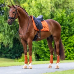Equestrian Stockholm Zadeldekje Satin Dressuur Chestnut