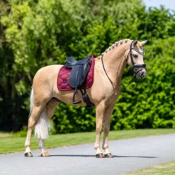 Equestrian Stockholm Zadeldekje Satin Dressuur Merlot