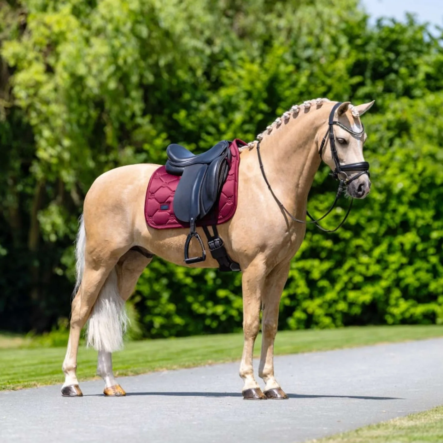 Equestrian Stockholm Zadeldekje Satin Dressuur Merlot