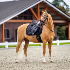 Equestrian Stockholm Zadeldekje Line Dressuur Zwart