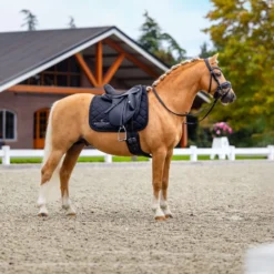 Equestrian Stockholm Zadeldekje Line Dressuur Zwart