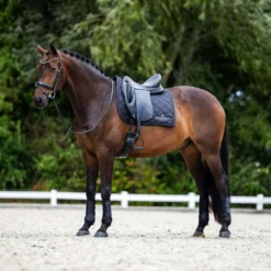 Equestrian Stockholm Zadeldekje Line Dressuur Zwart