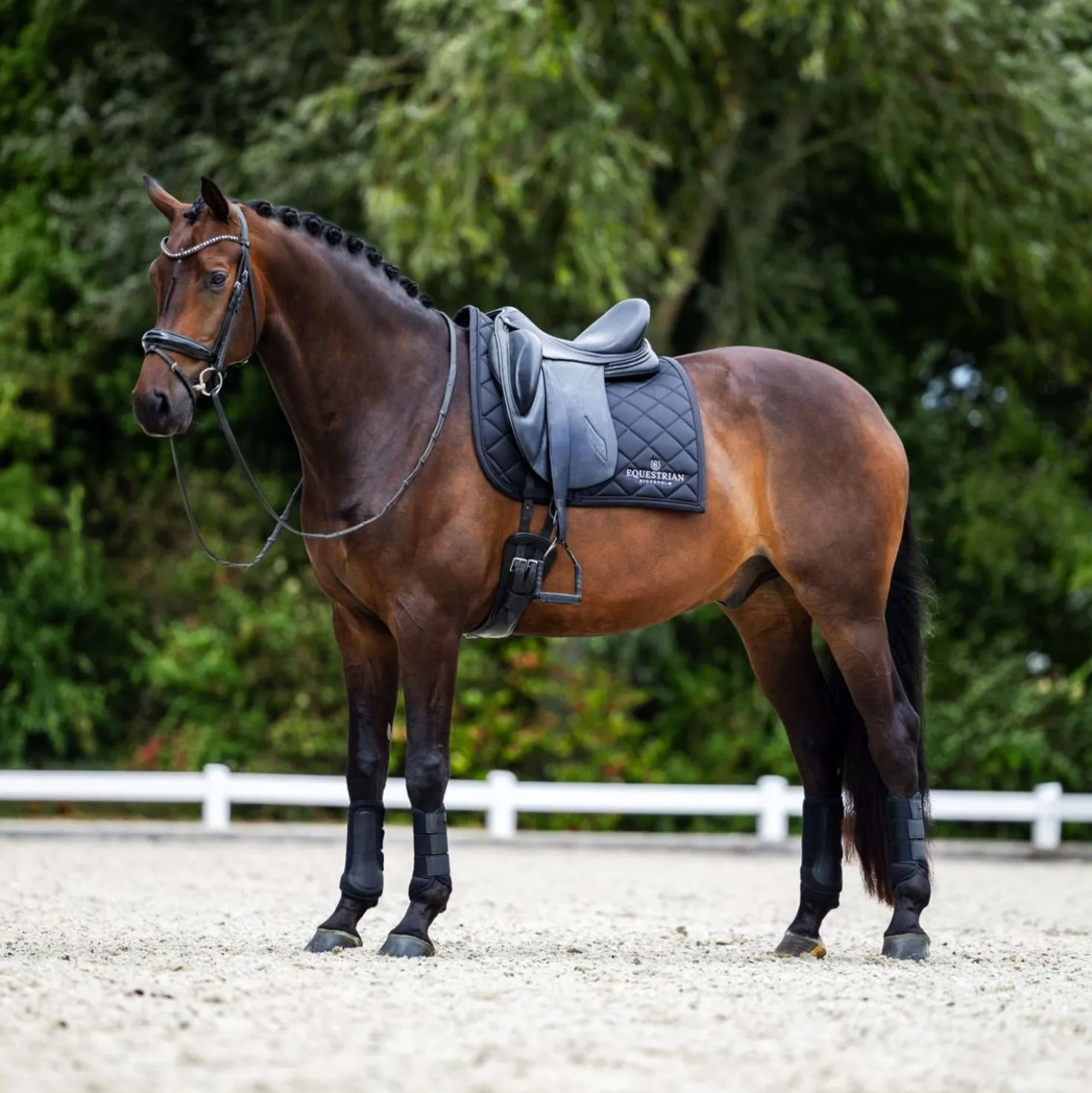 Equestrian Stockholm Zadeldekje Line Dressuur Zwart