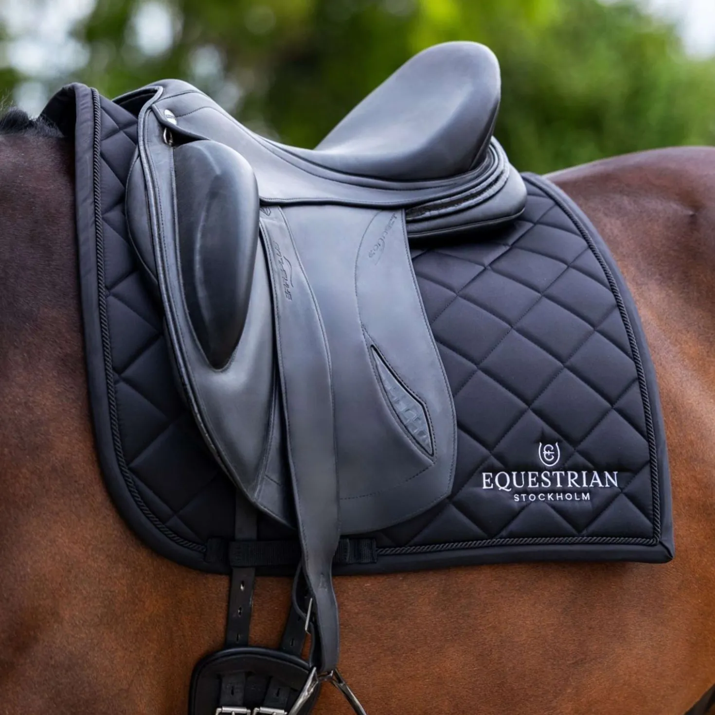 Equestrian Stockholm Zadeldekje Line Dressuur Zwart