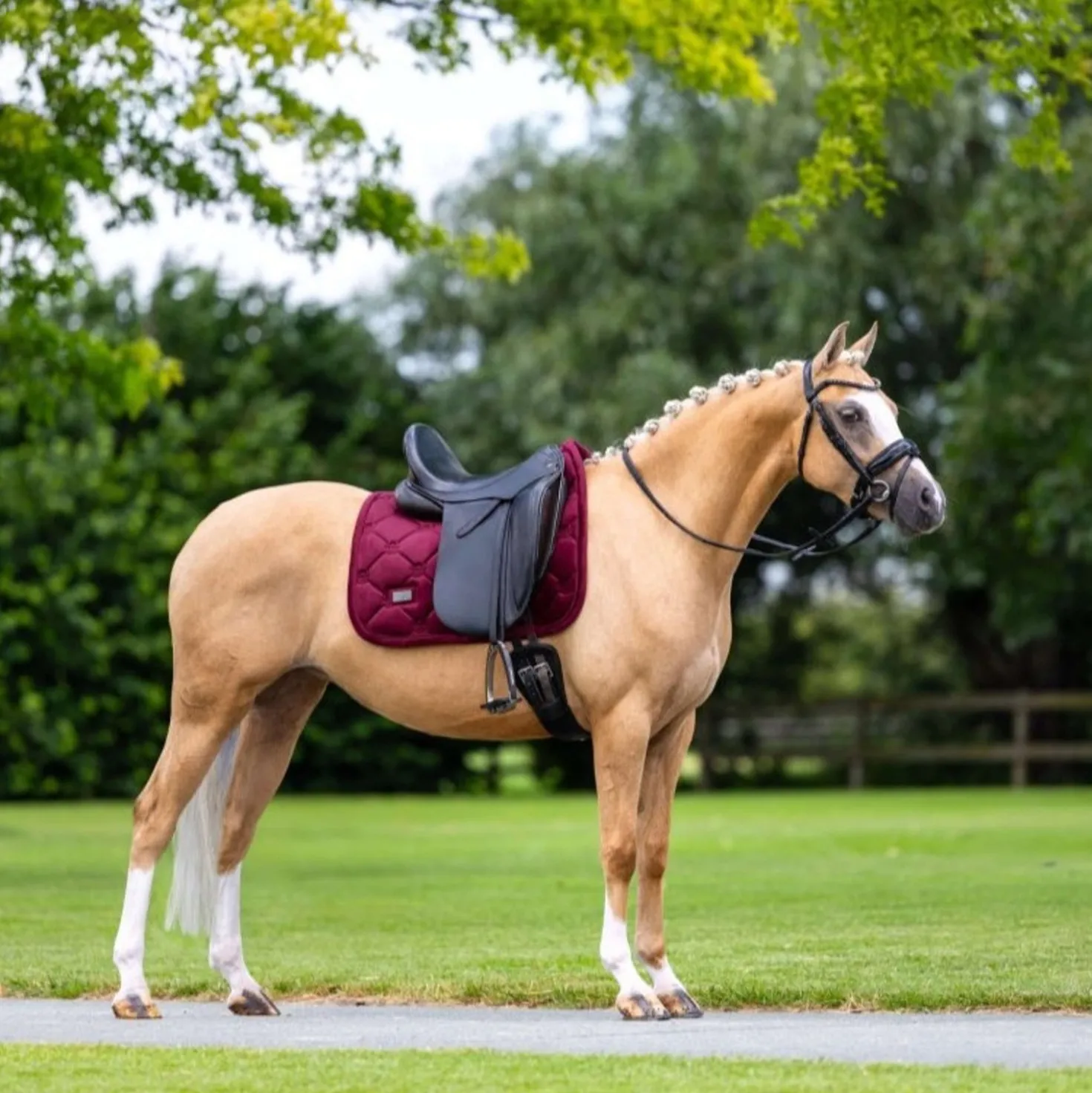 Equestrian Stockholm Zadeldekje Velvet Dressuur Merlot