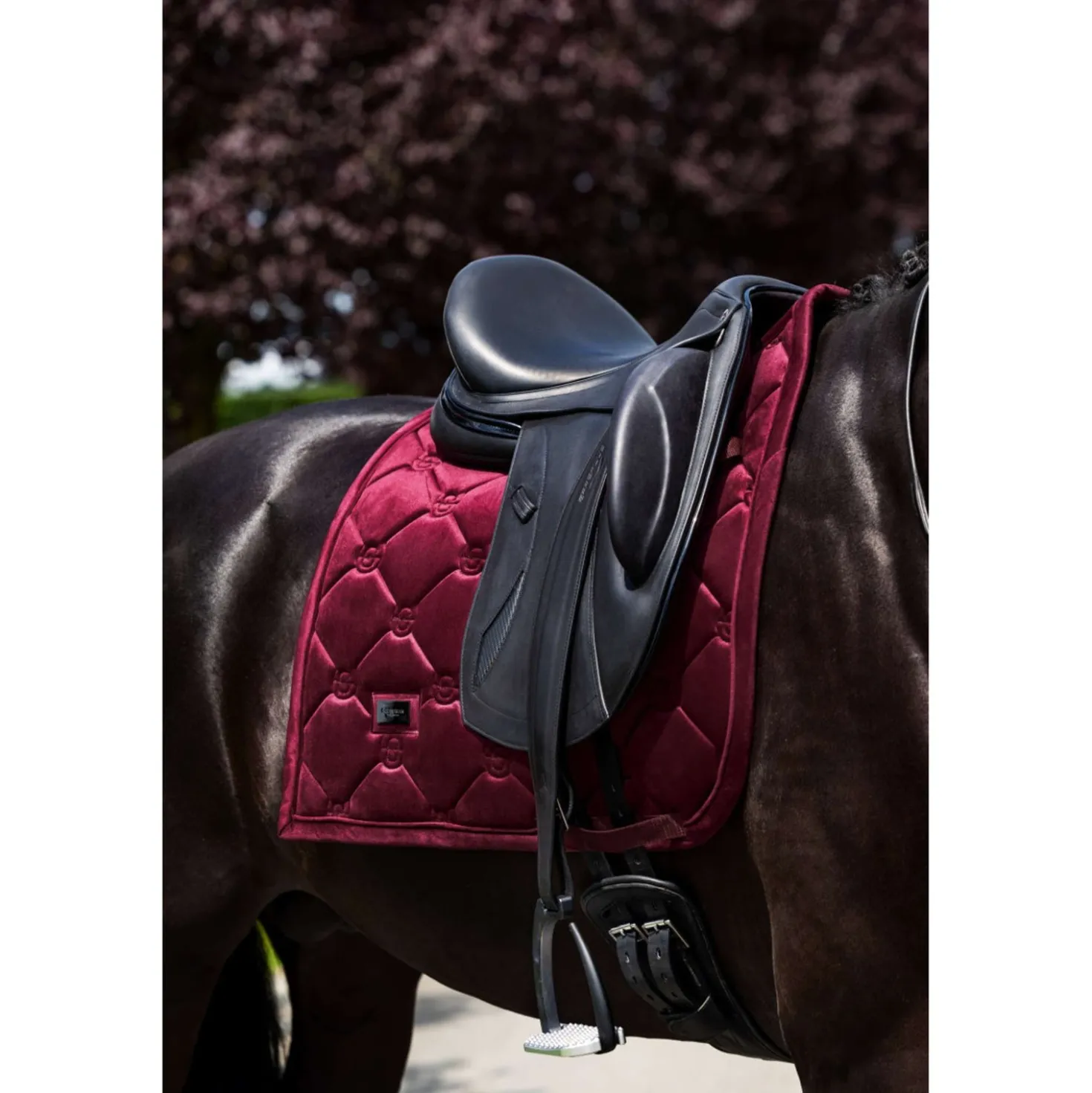 Equestrian Stockholm Zadeldekje Velvet Dressuur Merlot