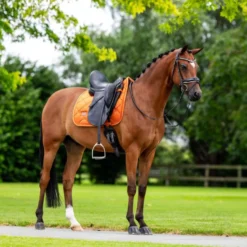 Equestrian Stockholm Zadeldekje Velvet Dressuur Chestnut