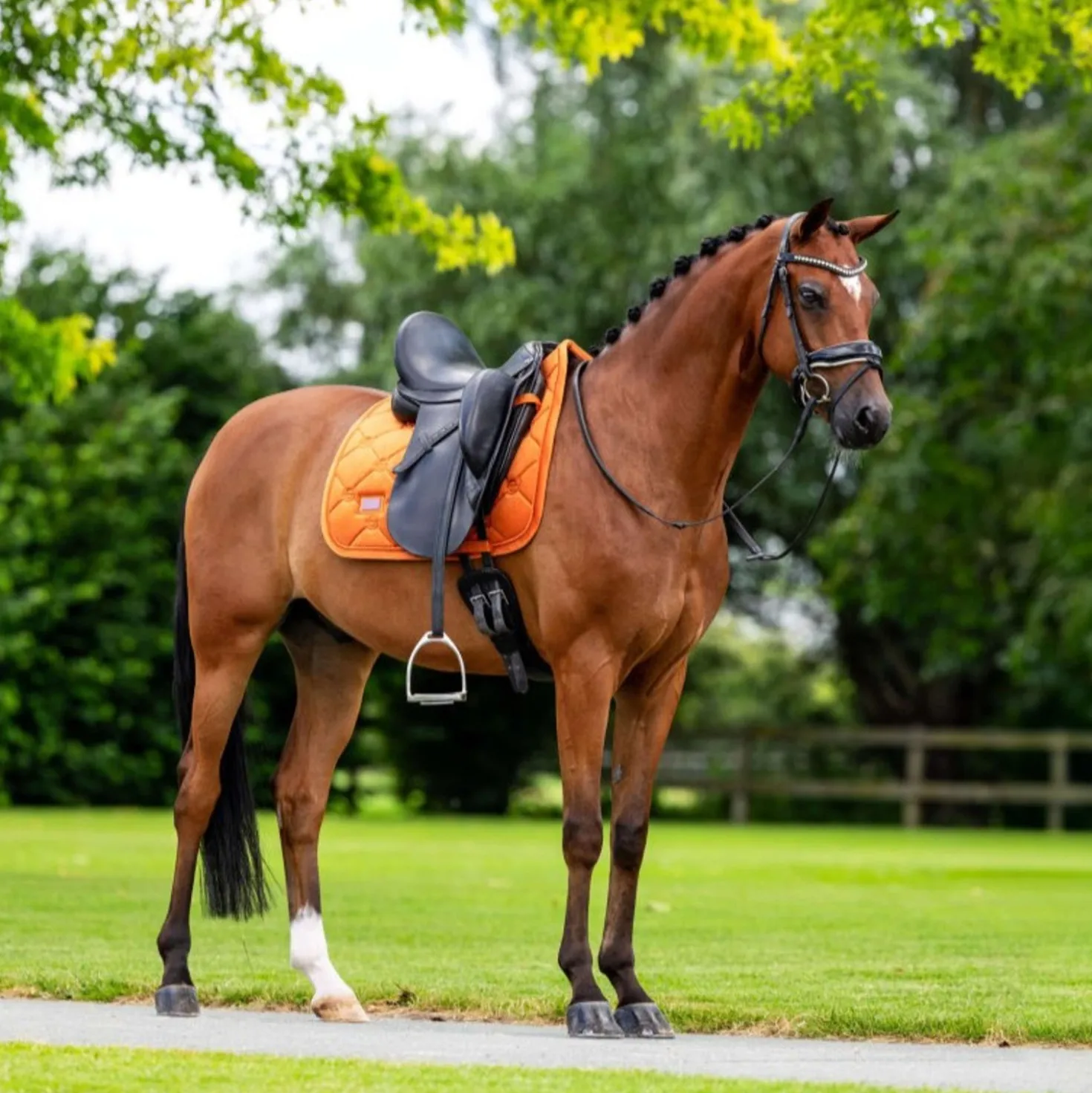 Equestrian Stockholm Zadeldekje Velvet Dressuur Chestnut