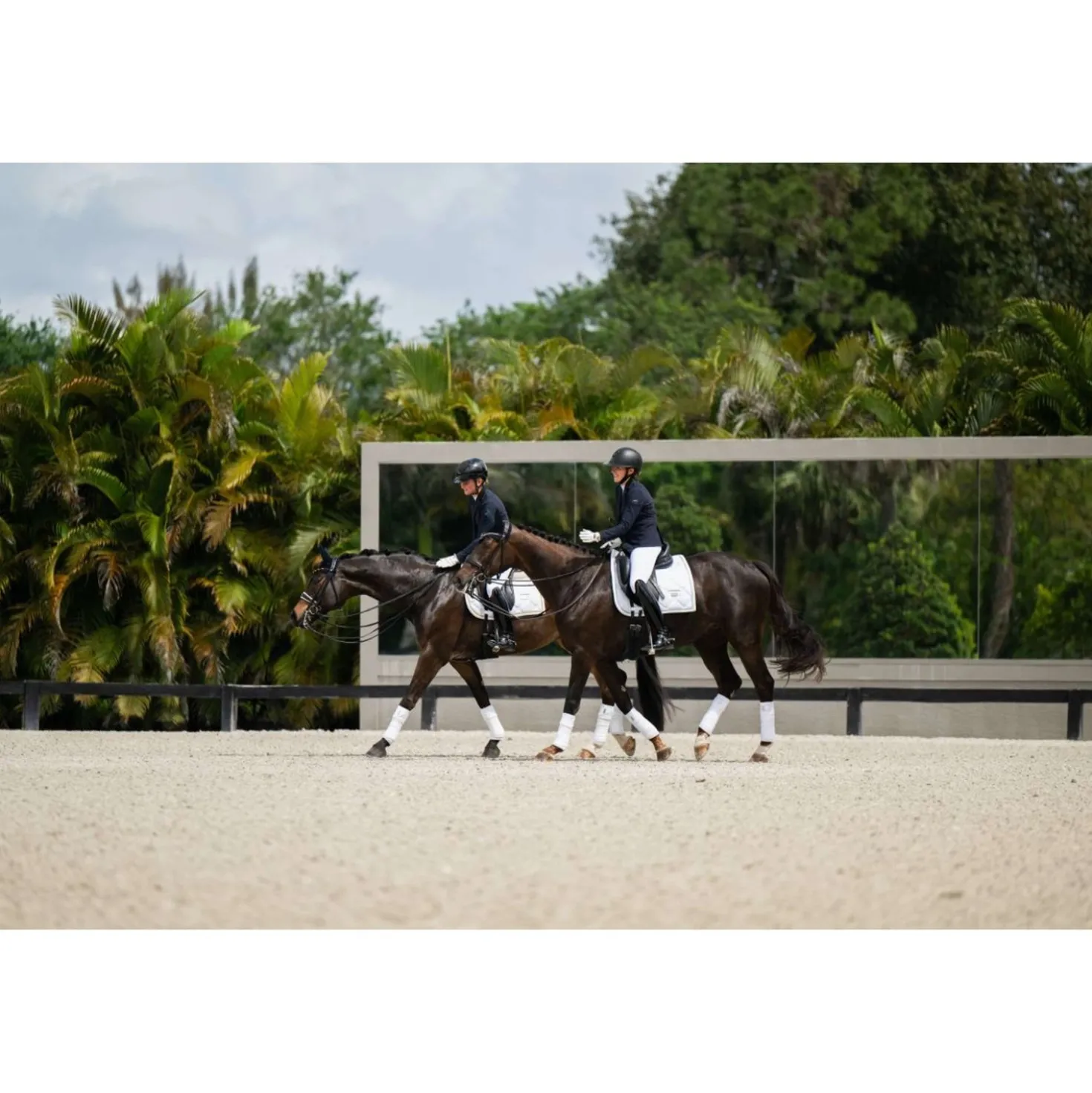Equestrian Stockholm Zadeldekje Dressuur White Silver
