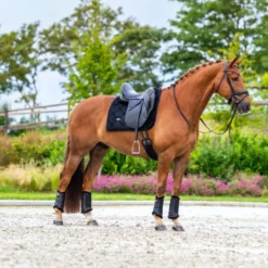 Equestrian Stockholm Zadeldekje Velvet Dressuur Zwart