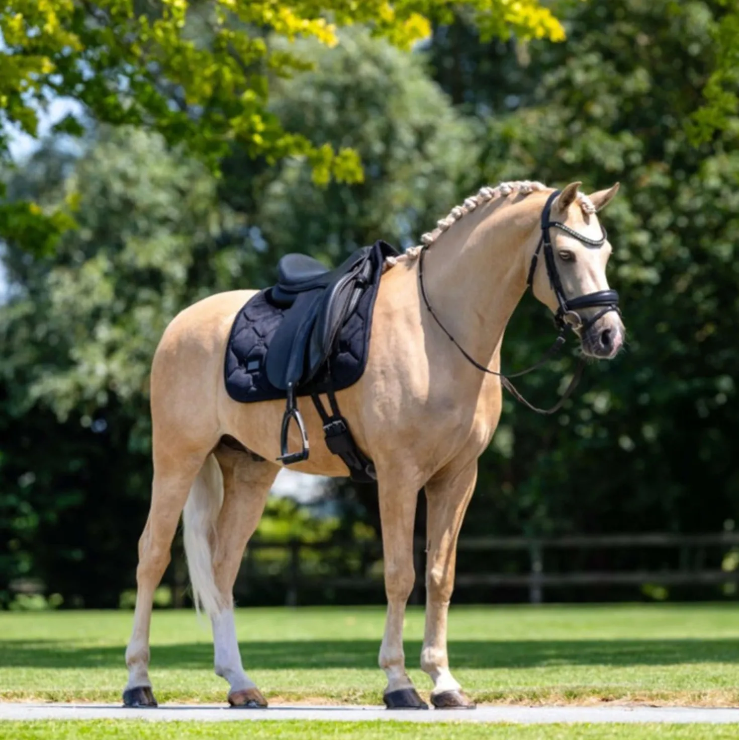 Equestrian Stockholm Zadeldekje Velvet Dressuur Zwart