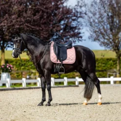 Equestrian Stockholm Zadeldekje Line Dressuur Roze