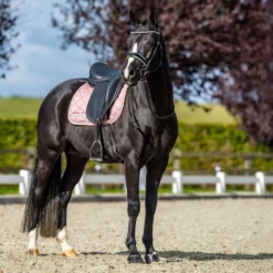 Equestrian Stockholm Zadeldekje Line Dressuur Roze