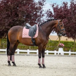Equestrian Stockholm Zadeldekje Line Dressuur Roze