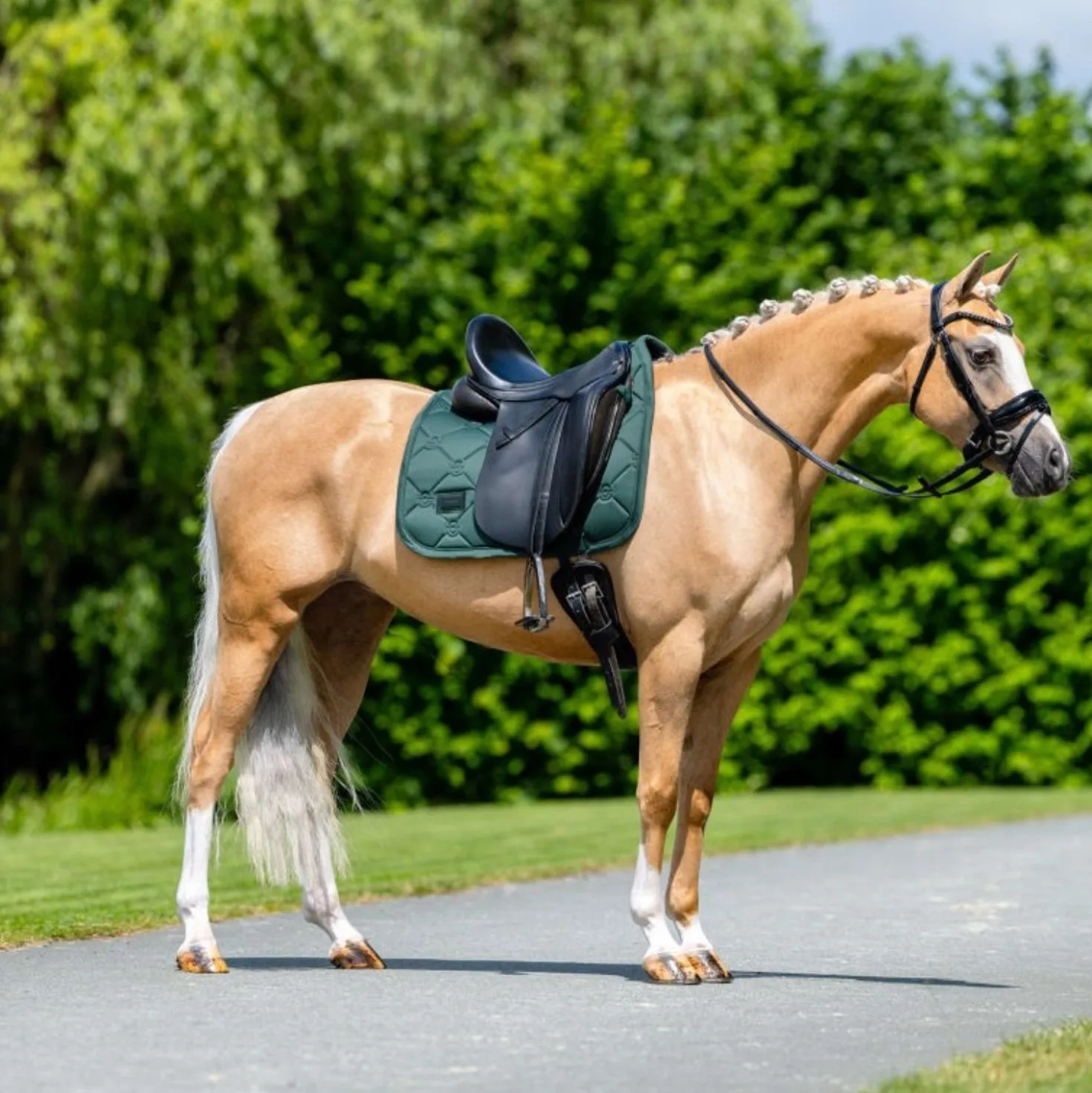 Equestrian Stockholm Zadeldekje Satin Dressuur Sycamore Green