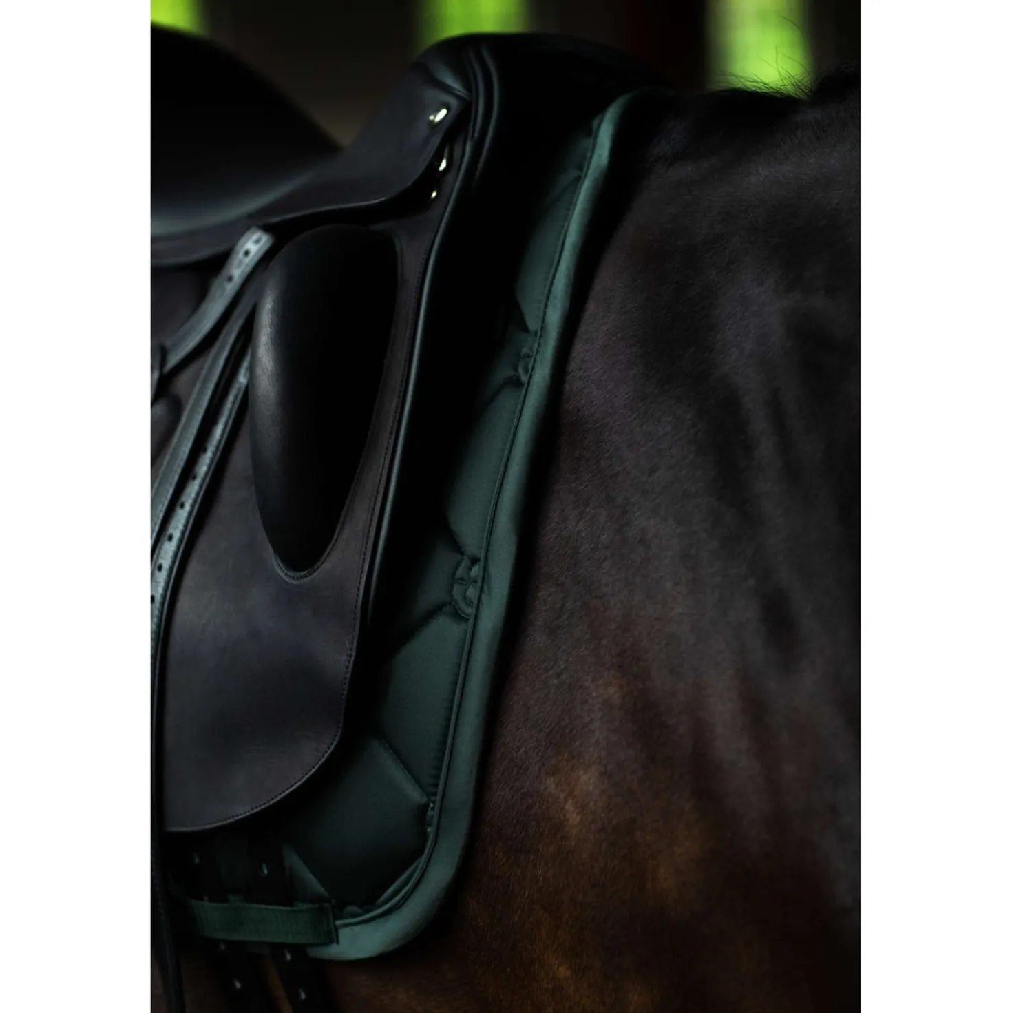 Equestrian Stockholm Zadeldekje Satin Dressuur Sycamore Green
