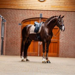 Equestrian Stockholm Zadeldekje Line Dressuur Champagne