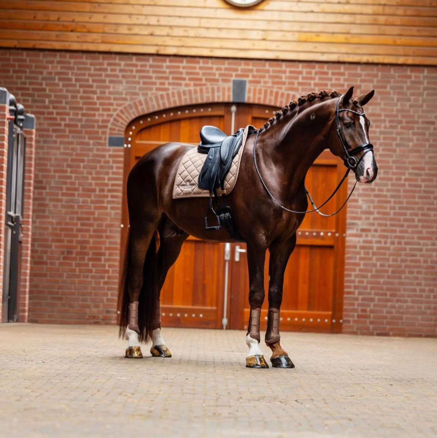 Equestrian Stockholm Zadeldekje Line Dressuur Champagne