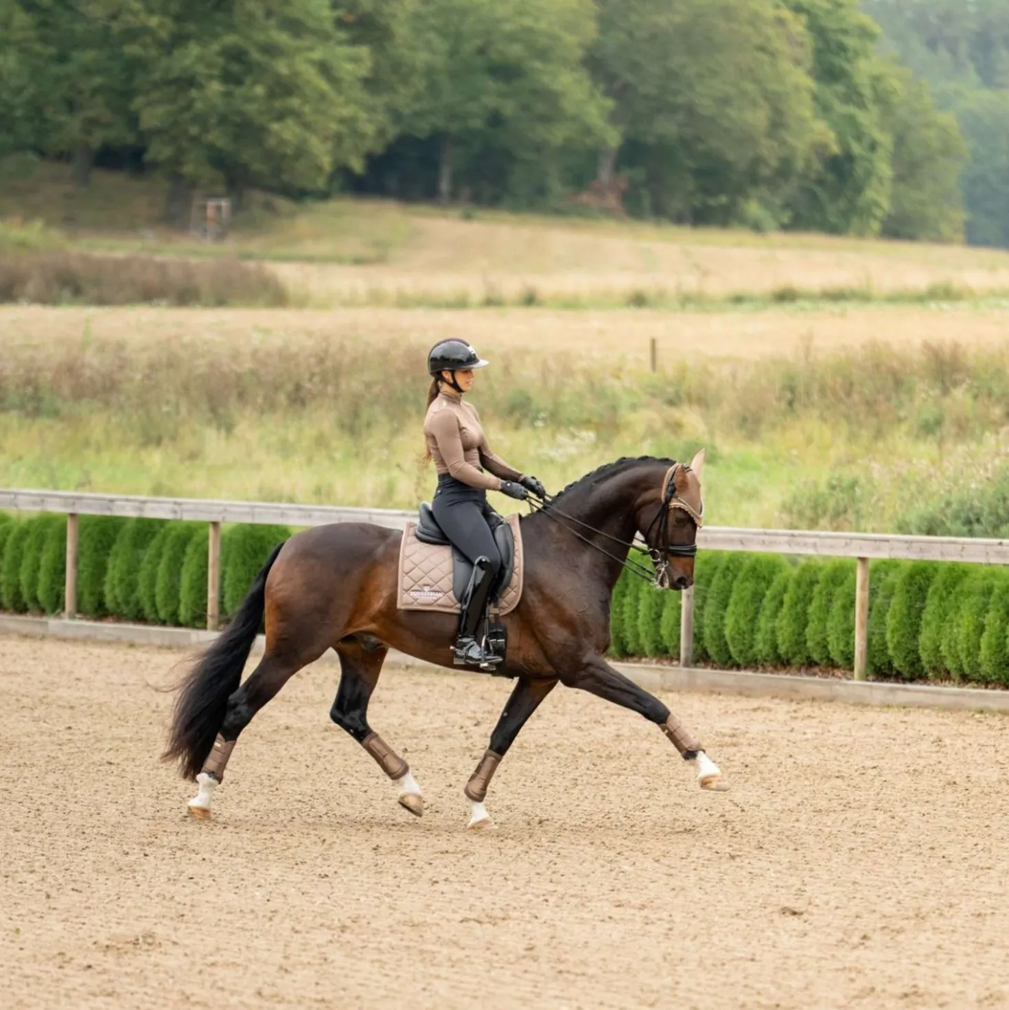Equestrian Stockholm Zadeldekje Line Dressuur Champagne
