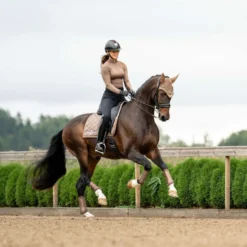 Equestrian Stockholm Zadeldekje Line Dressuur Champagne