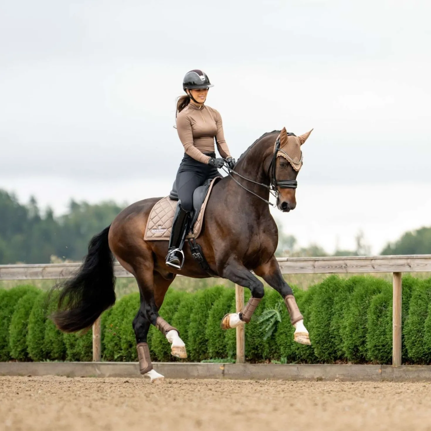 Equestrian Stockholm Zadeldekje Line Dressuur Champagne