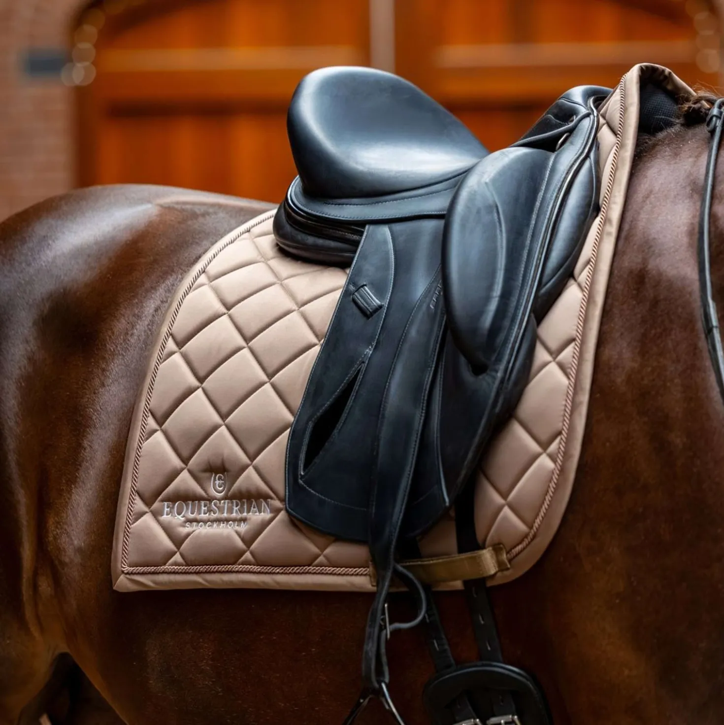 Equestrian Stockholm Zadeldekje Line Dressuur Champagne
