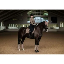 Equestrian Stockholm Zadeldekje Dressuur Champagne